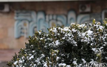 Дождь, снег и мороз: синоптики рассказали о погоде на начало недели