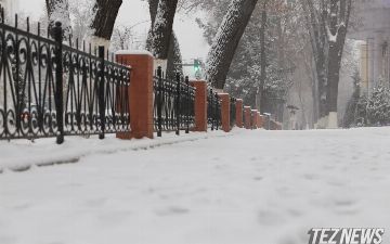 Новая рабочая неделя встретит узбекистанцев снегом — прогноз погоды