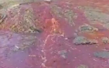 В Чусте жители засняли на видео, как вытекает «кровь» из канализации