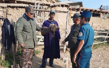 В Кашкадарье найден предполагаемый убийца медвежонка