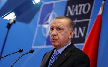 Турция заблокировала начало&nbsp;переговоров о вступлении Финляндии и&nbsp;Швеции в НАТО