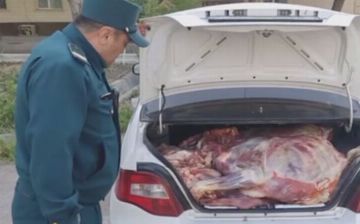 Из Кашкадарьи в Ташкент пытались ввезти около 700 кг испорченного мяса