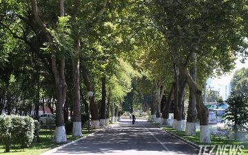 Узбекистанцев ожидают жаркие и сухие выходные — прогноз погоды