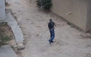 В Карши пьяный мужчина бросил кошку в стену дома — видео (18+)