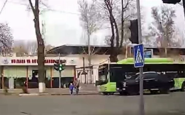 Водитель автобуса, проехавший на «красный» и сбивший насмерть женщину, получил срок (видео аварии)