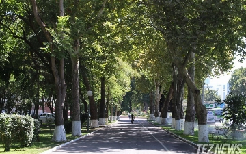 Назван самый густонаселенный район Ташкента