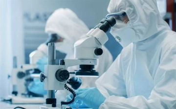Xitoyda hayvondan kelib chiqqan yangi «Lan’ya» genipavirusi aniqlandi