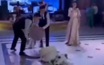 На узбекской свадьбе официанты уронили огромный торт – видео