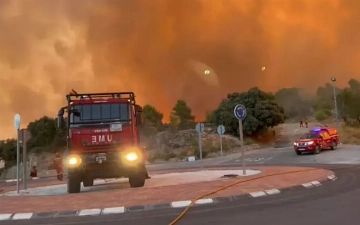 Спасатели неделю не могут потушить лесные пожары, бушующие в Европе