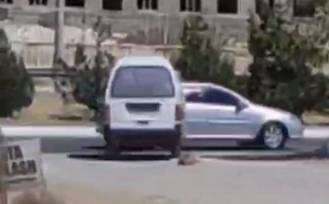 В Зарафшане мужчина привязал щенка к машине, протащив его по городу — видео (18+)