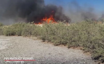 Buxoroda qamishzordagi yong'inni o'chirishga 100 dan ortiq odam va vertolyot jalb qilindi