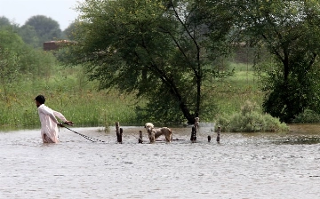 Пакистан запросил помощь у мира из-за наводнений, жертвами которых стали 937 человек