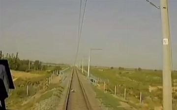 В Кашкадарье поезд насмерть сбил трехлетнего ребенка — видео (+18)
