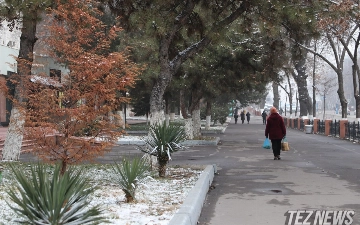 В Ташкенте ожидается снег — прогноз погоды 