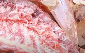 В Ташкент пытались провезти почти тонну несъедобного мяса — видео 