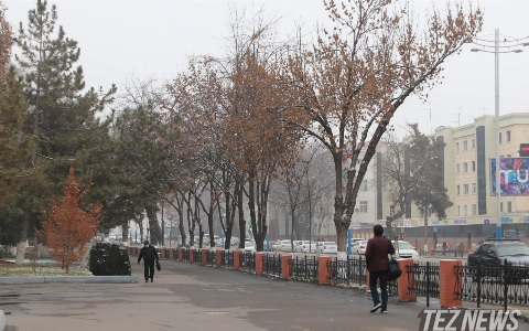 Узбекистанцам рассказали, какая погода ожидается в декабре
