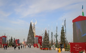 Узбекистан вошел в тройку стран СНГ с самыми высокими новогодними ёлками