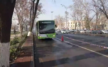 В Ташкенте появится более 30 полос для автобусов — список улиц