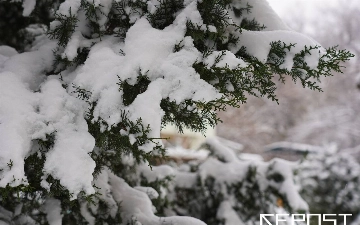 Узбекистан накроет снегом на Новый год