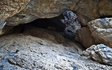 Olimlar O'zbekistonda bosh suyagi topilgan neandertal odamning tashqi ko'rinishini namoyish etdi — foto