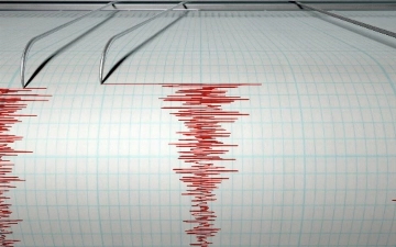 Узбекистанцы ощутили землетрясение