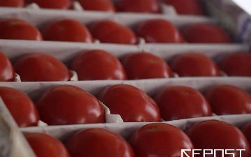 В Узбекистане резко подешевели помидоры — с чем это связано