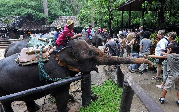 Таиланд в пятый раз отложил введение туристического сбора