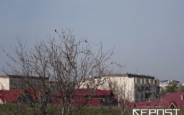 Воздух в Ташкенте на 21 апреля: уровень загрязнения превысил норму в два раза