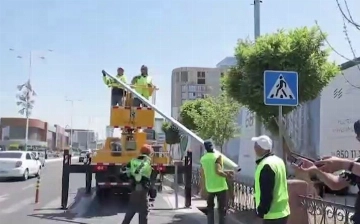 Ташкент станет безопаснее для пешеходов: по городу установят десятки новых светофоров (видео)