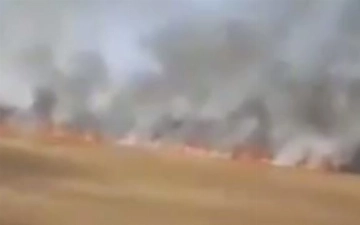 В Кашкадарье загорелся гектар пшеничного поля (видео)