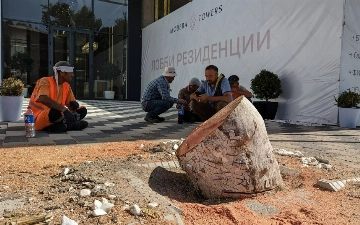 В Ташкенте сотрудники благоустройства срубили чинары более чем на 190 млн сумов