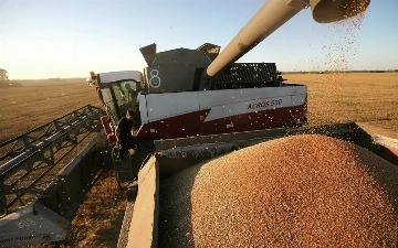 Узбекистан закупил у Казахстана пшеницу почти на $240 млн