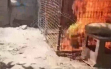 Суд ужесточит наказание мужчинам, которые заживо сожгли кошку в Фергане