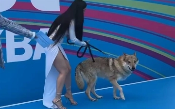 Ольга Cерябкина вышла на дорожку VK Fest с настоящим волком