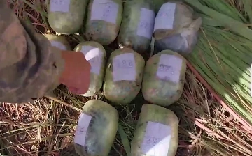 На берегу Амударьи обнаружили пакет с 10 кг опия (видео)