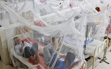 С начала года более 630 жителей Бангладеш умерли от лихорадки денге