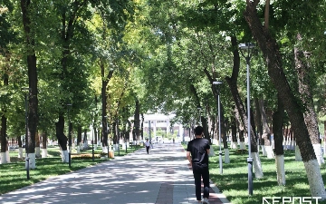 Воздух в Ташкенте на 11 сентября: уровень загрязнения снова превысил норму в восемь раз