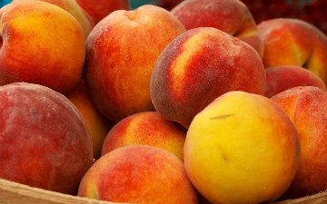 Узбекистан продал за границу рекордный объем персиков и нектаринов