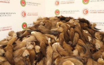 Узбекистанец вместе с подельником пытался провезти в Турцию свыше 10 тысяч лисьих хвостов