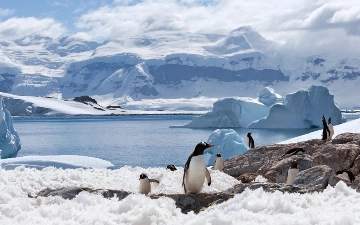 В Антарктиде зафиксировали рекордно низкий уровень льда