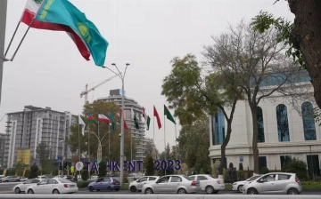 Обнародована программа саммита ОЭС в Ташкенте