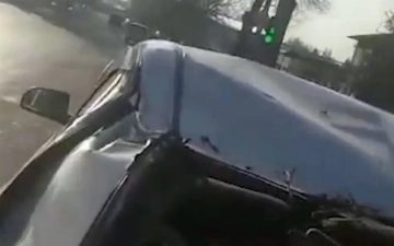 В Ташкенте на автомобиль рухнуло здоровое дерево: пассажирка скончалась в больнице