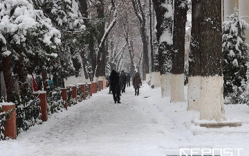 Эксперт рассказал, какой будет предстоящая зима в Узбекистане