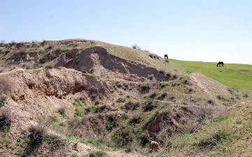 Археологическому памятнику Ташобласти нанесли ущерб на 14 млрд сумов