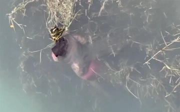 Пропавшую в Сырдарье женщину нашли мертвой в канале