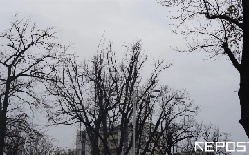 Воздух в Ташкенте на 5 января: уровень загрязнения превысил норму в четыре раза