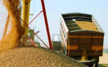 Узбекистан намерен закупить у Казахстана более 1 млн тонн зерна