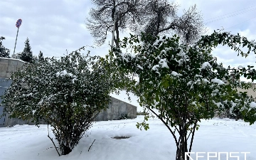 Синоптики рассказали, в каких регионах Узбекистана пройдут снег и дождь