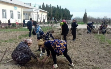 В Узбекистане официально запретили принуждать педагогов к труду