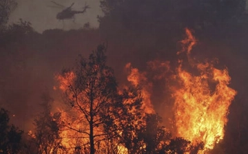 В Чили бушуют сильные лесные пожары, есть погибшие и пострадавшие